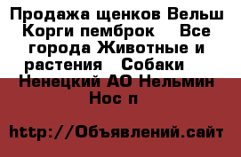 Продажа щенков Вельш Корги пемброк  - Все города Животные и растения » Собаки   . Ненецкий АО,Нельмин Нос п.